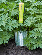 Håndspade (Hand Trowel)