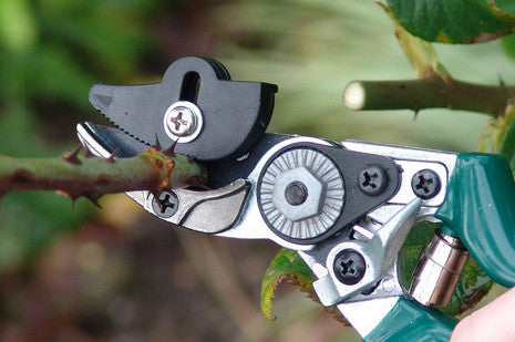 DNH Rose sekatør (Cut & Hold Pruner)