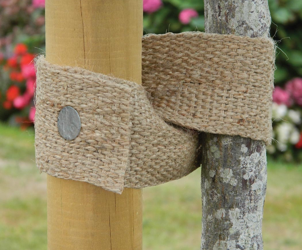 GP Jute Trefeste (Natural Jute Webbing Tree Tie)