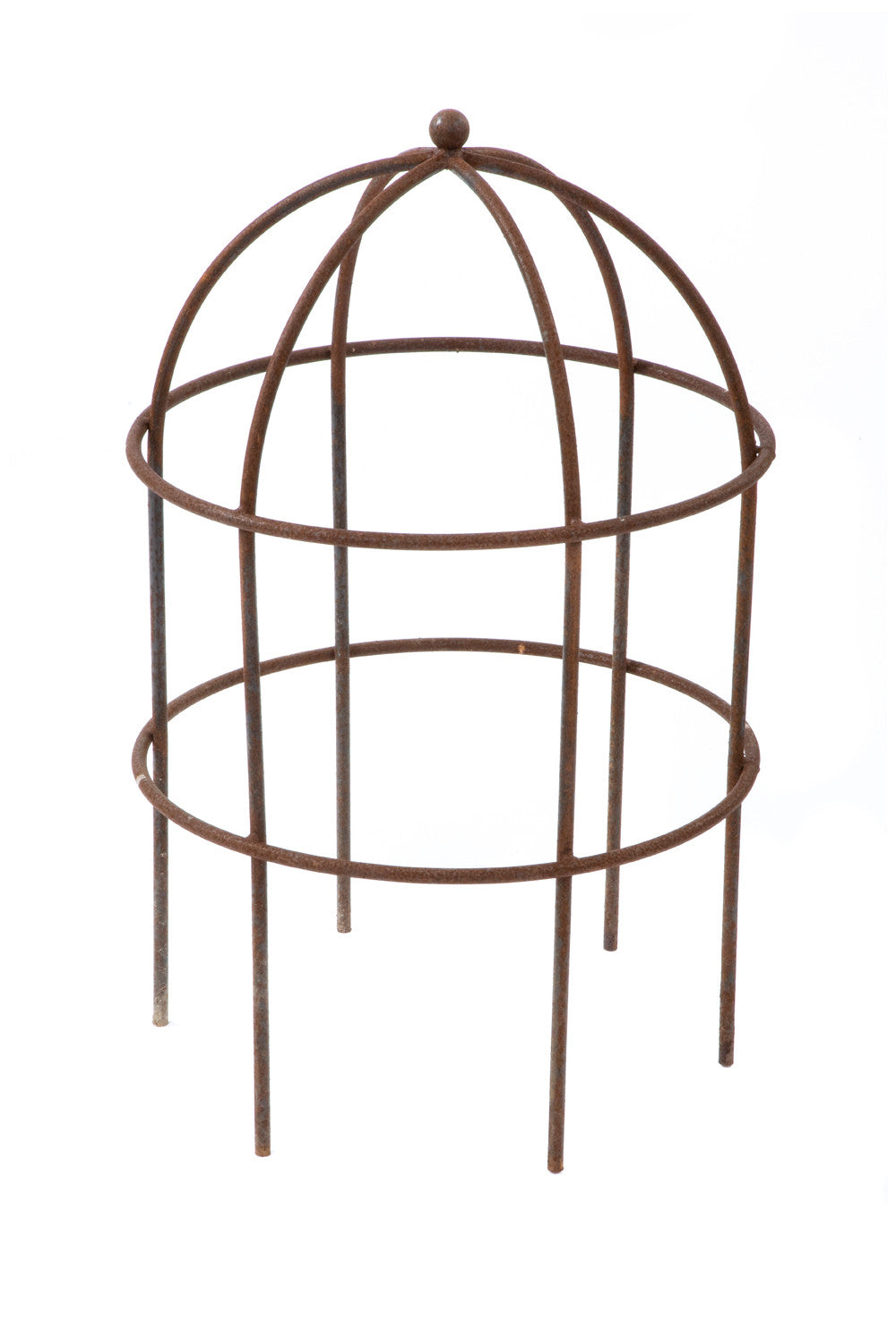 MPS Klematis og Roser Buer