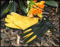 Hagehansker - Gold Leaf Dry Touch Gardening Glove